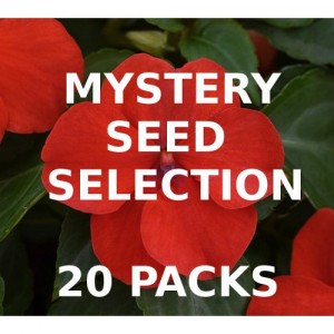 MYSTERY VALUE SELECTION OF 20 PACKS OF SEEDS